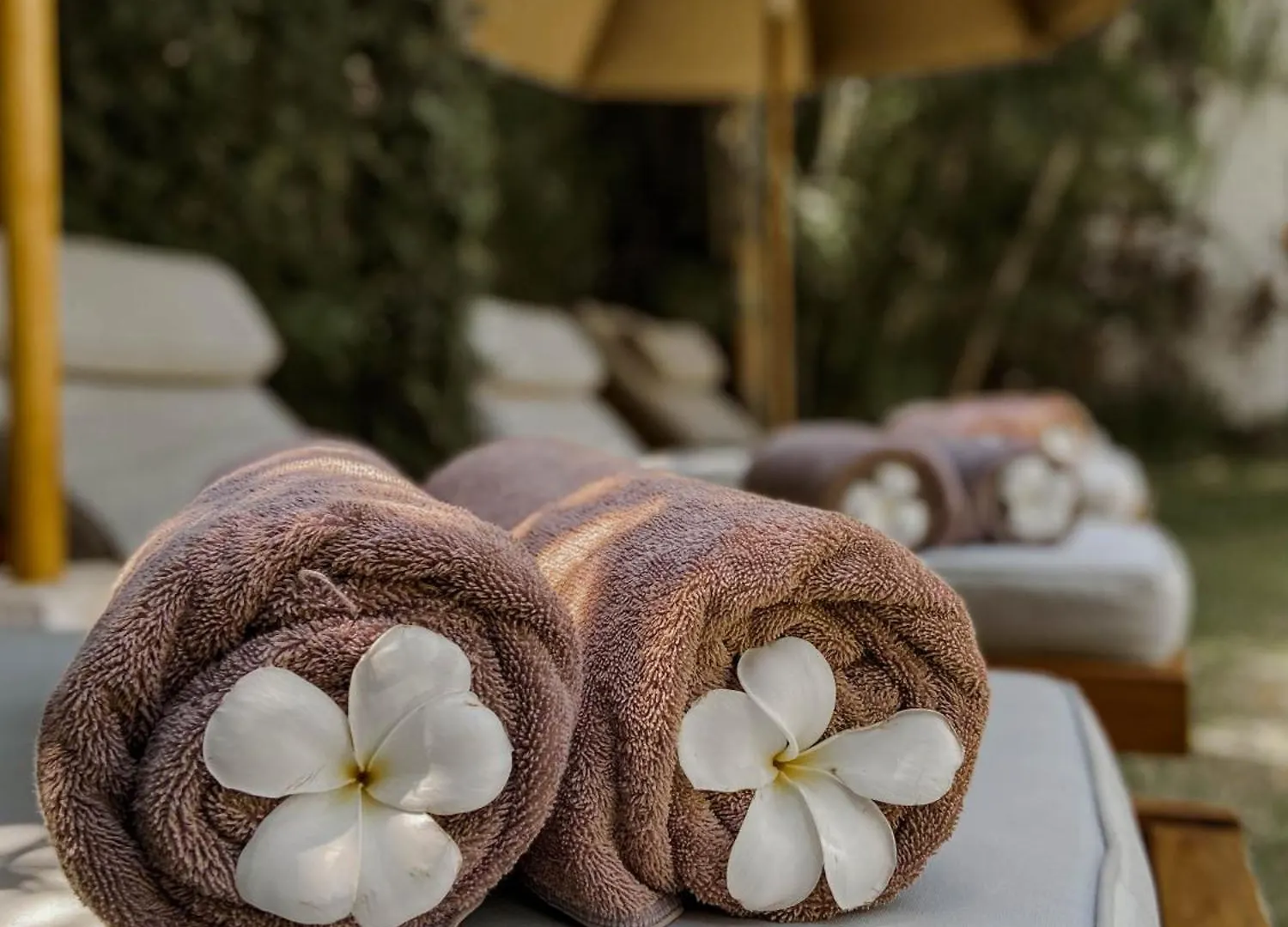 Villa Chocolat Seminyak 6 Bedroom